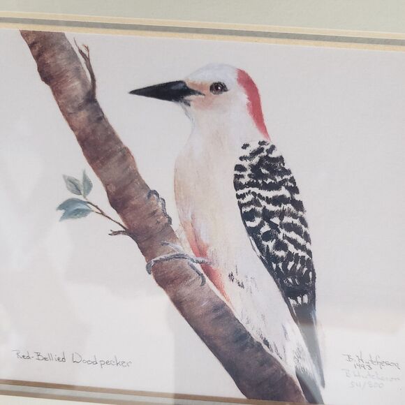 B Hutcheson RED BELLIED WOODPECKER Bird Art Signed Numbered Framed 11.5" x 9.5" - Picture 2 of 6